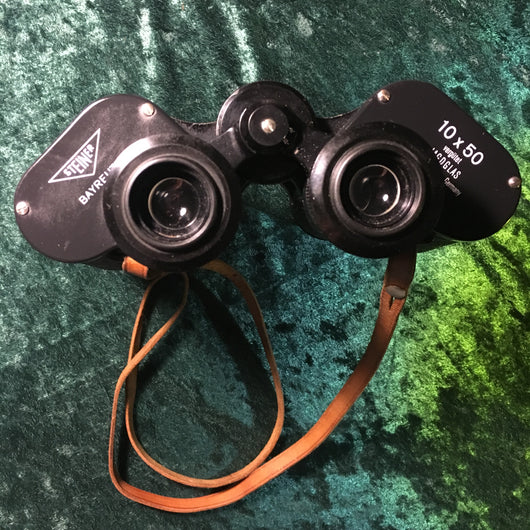 Steiner 10x50 best sale