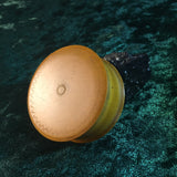 Zero Stock- Antique Fruit Wood Compass Made in Germany